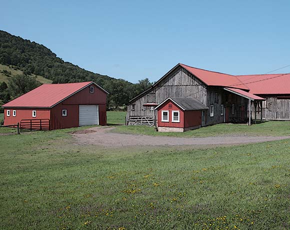 Farm Insurance in Andes NY, Hobart, Margaretville NY, Oneonta, Walton