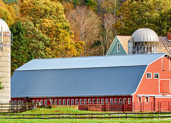 Farm Insurance in Hobart, Walton, Oneonta, Margaretville, NY, Andes, NY